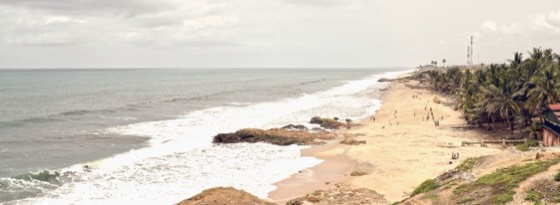 The Ghanaian coast with palms along the shore